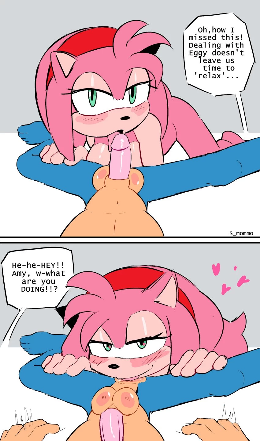 Amy pegs Sonic image number 1
