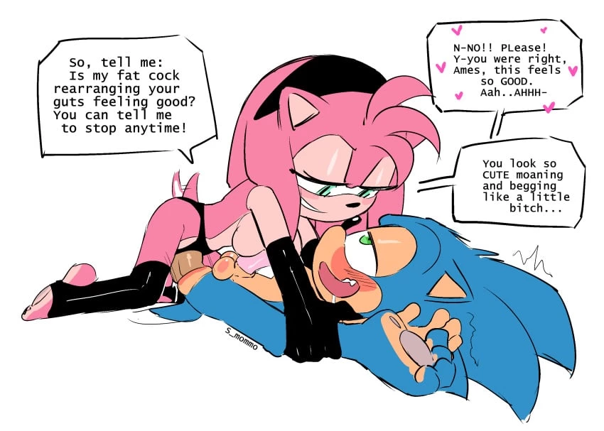 Amy pegs Sonic image number 2