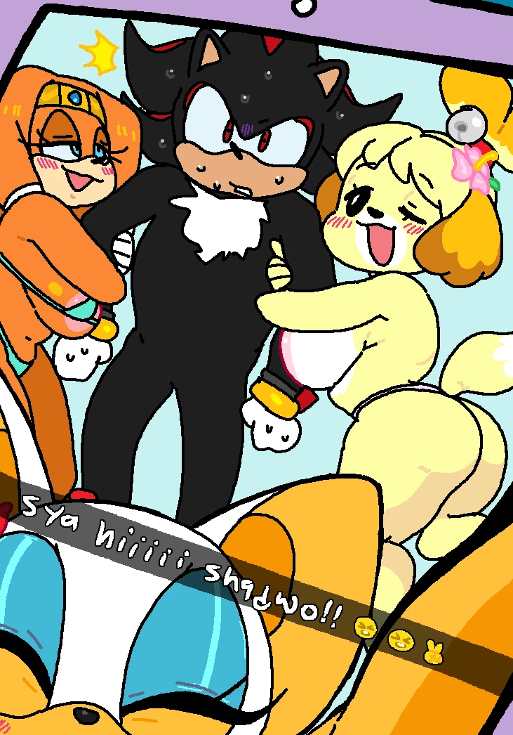 Rouge and Isabelle at the Beach (With Tikal and Shadow) image number 12