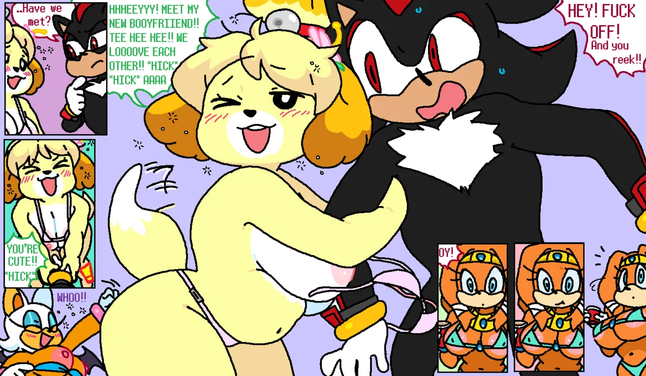 Rouge and Isabelle at the Beach (With Tikal and Shadow) image number 2