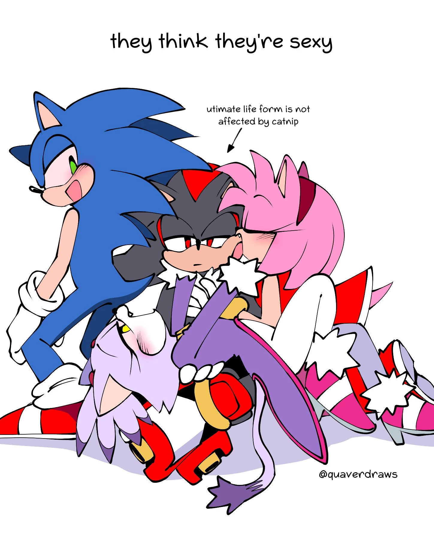 Quavernsfws Sonic Compilation image number 10