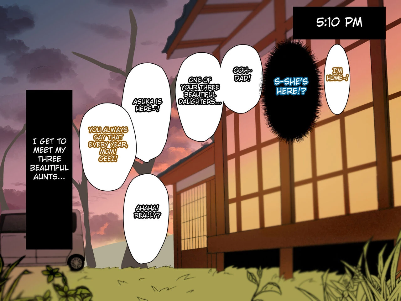 Toshikoshi Kinseki no Oba-chan-tachi to no Hitoyo image number 6