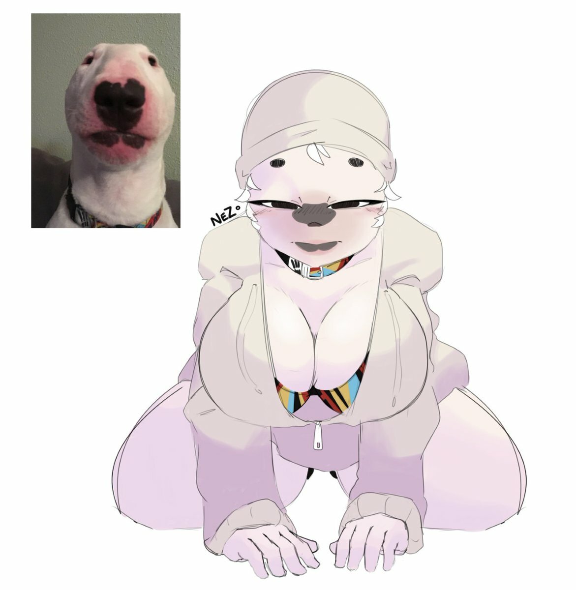 MEMES image number 16