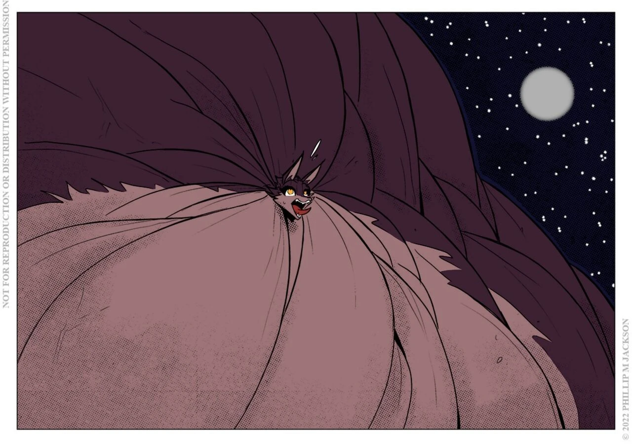 Grow to Sleep image number 29