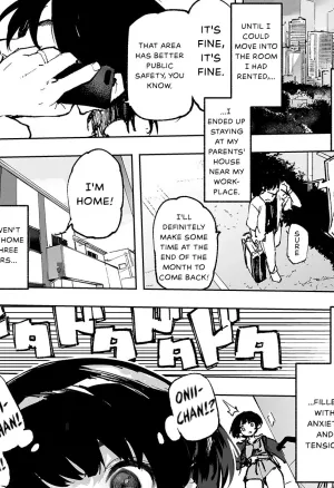 (The Story thus far) Ichinengo, Ore no Ko o Haramu Imouto no Kiroku