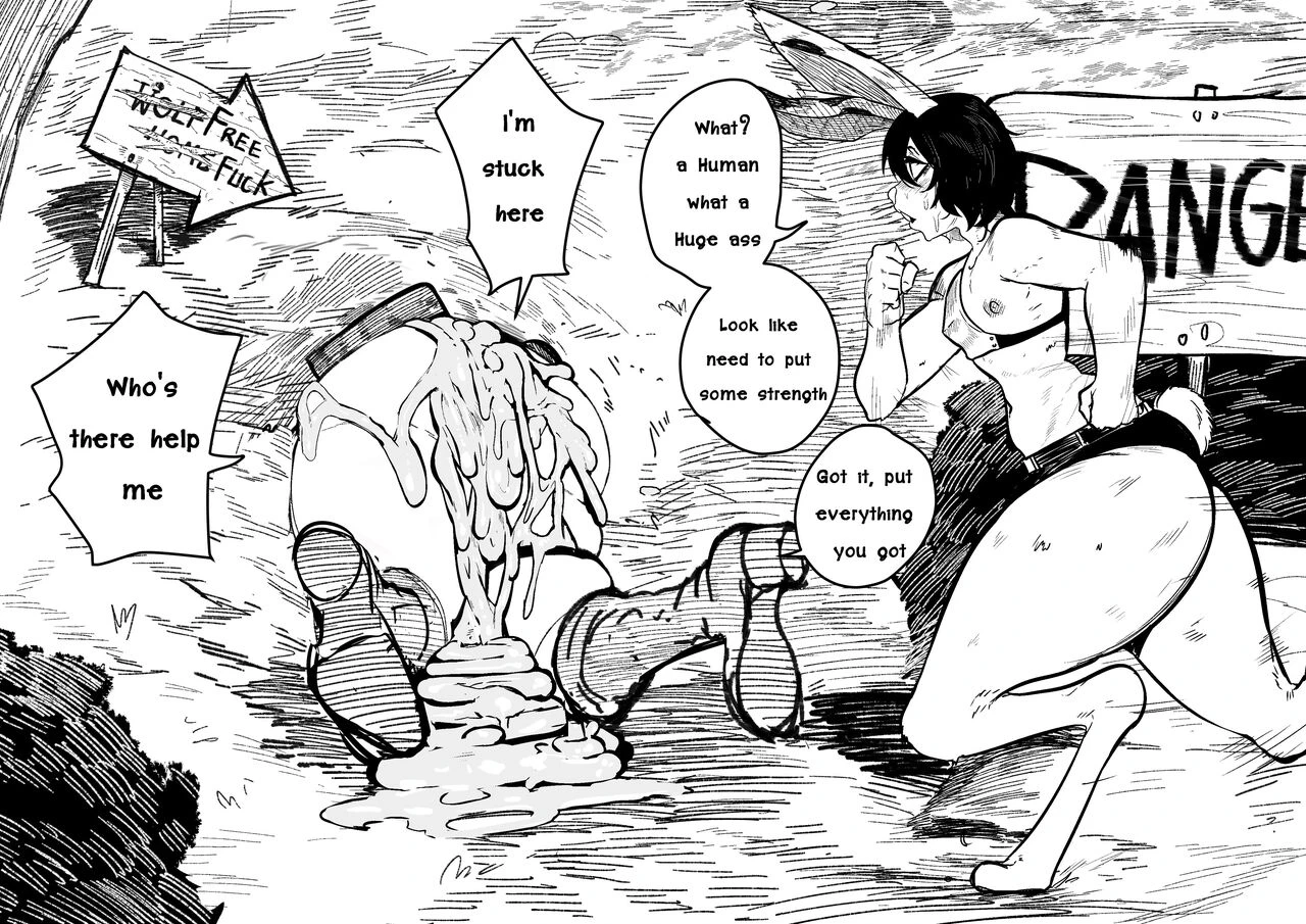 Semxonter series image number 24