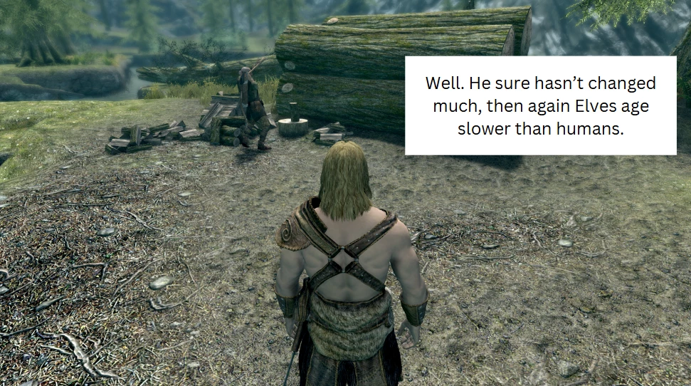 Lovely Letters - Skyrim Erotica image number 11