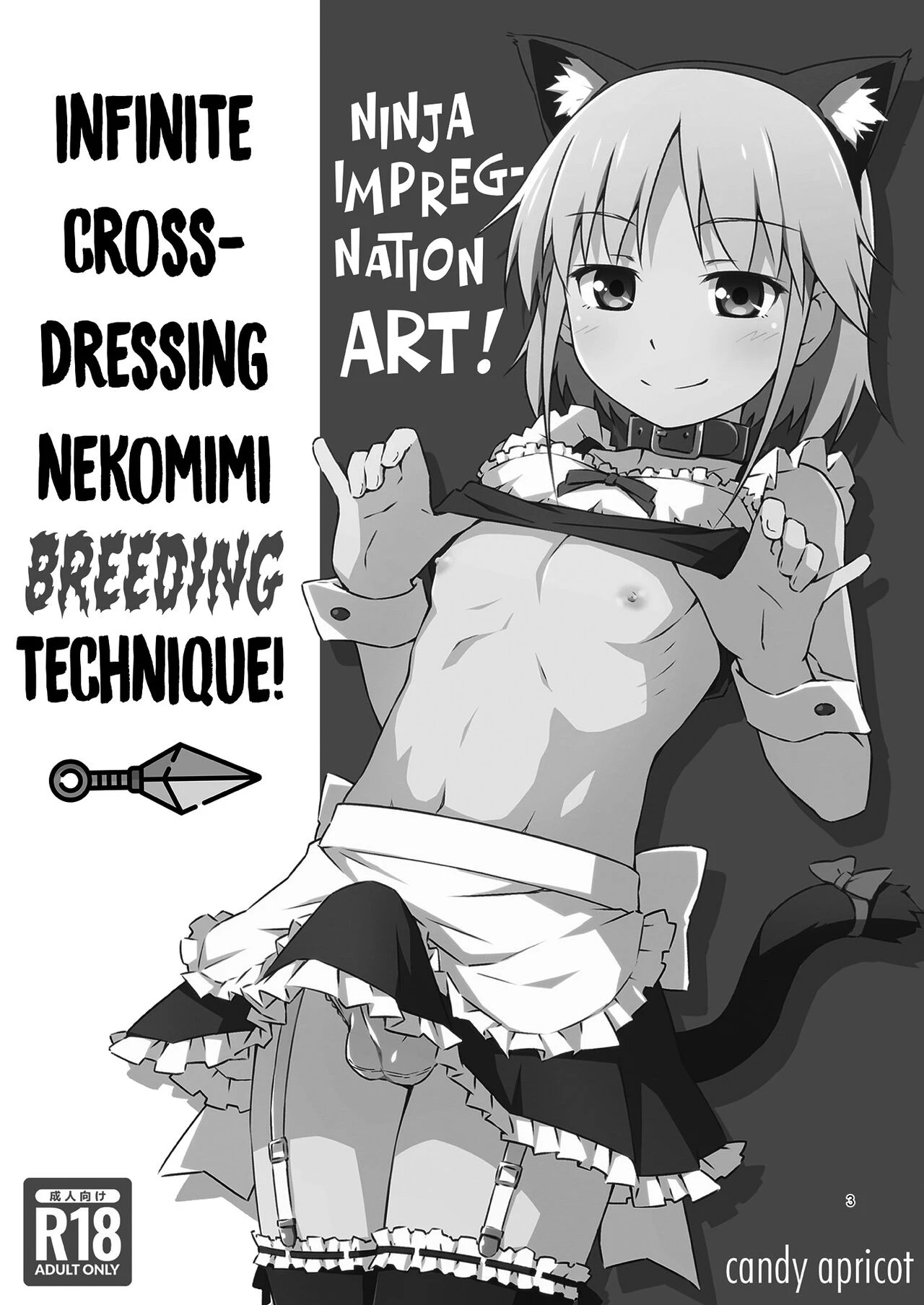 Ninja Impregnation Art: Infinite Crossdressing Nekomimi Breeding Technique!   Ninpou! Josou Nekomimi Maid Mugen Tanetsuke no Jutsu!! image number 1