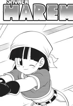Shonen Harem 2