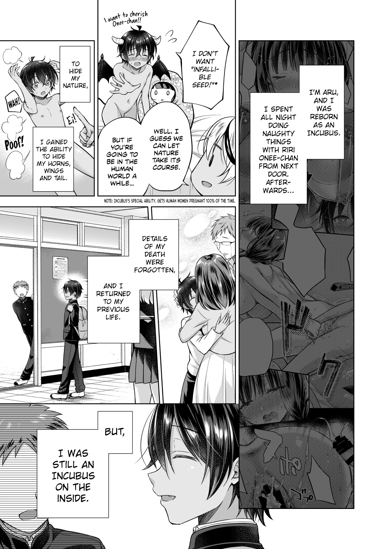 A Reincarnated Incubus Wants to Impregnate the Girl Next Door After  Tensei Incubus wa Tonari no Onee-chan o Haramasetai After image number 2