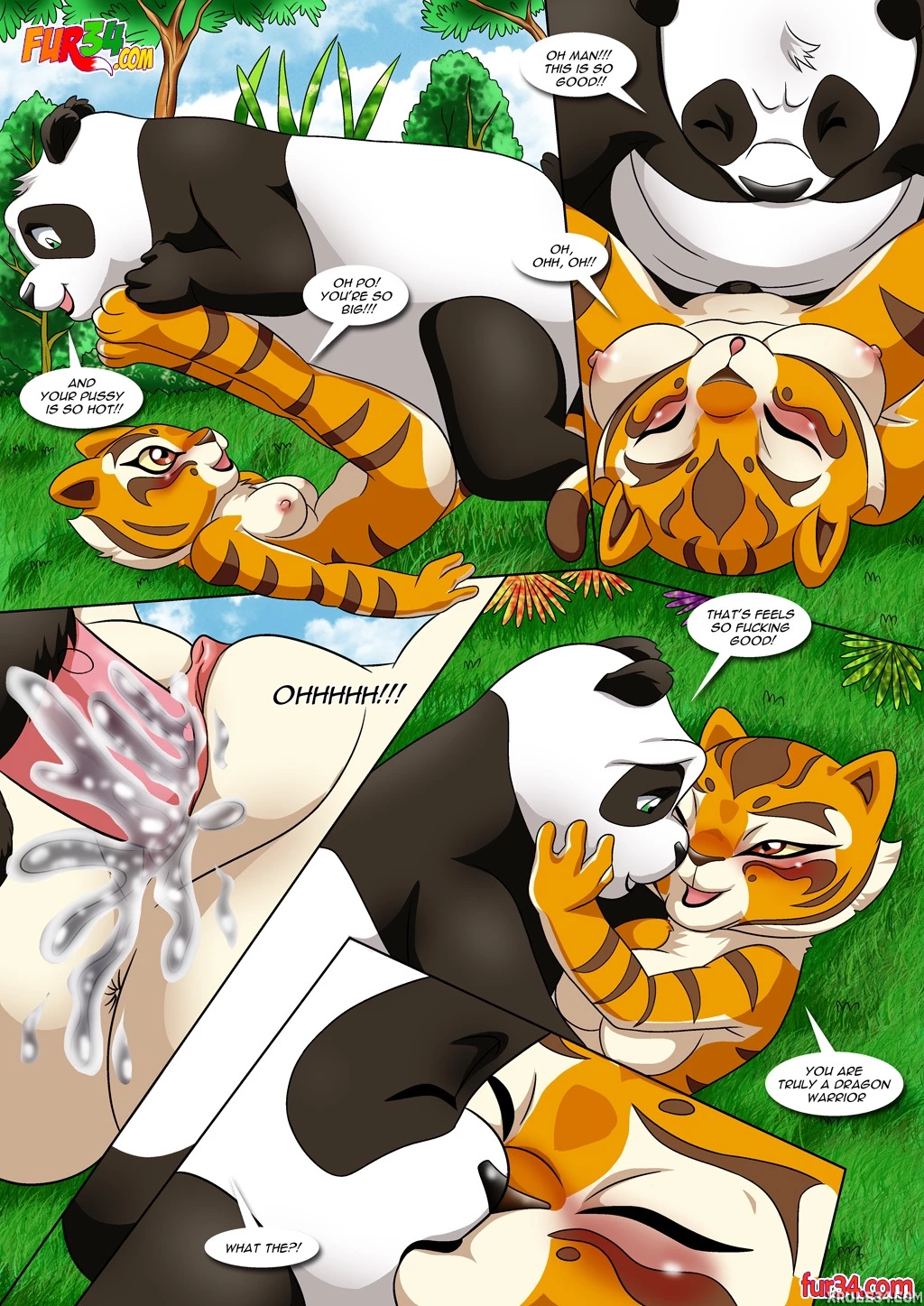 kung fu panda image number 11