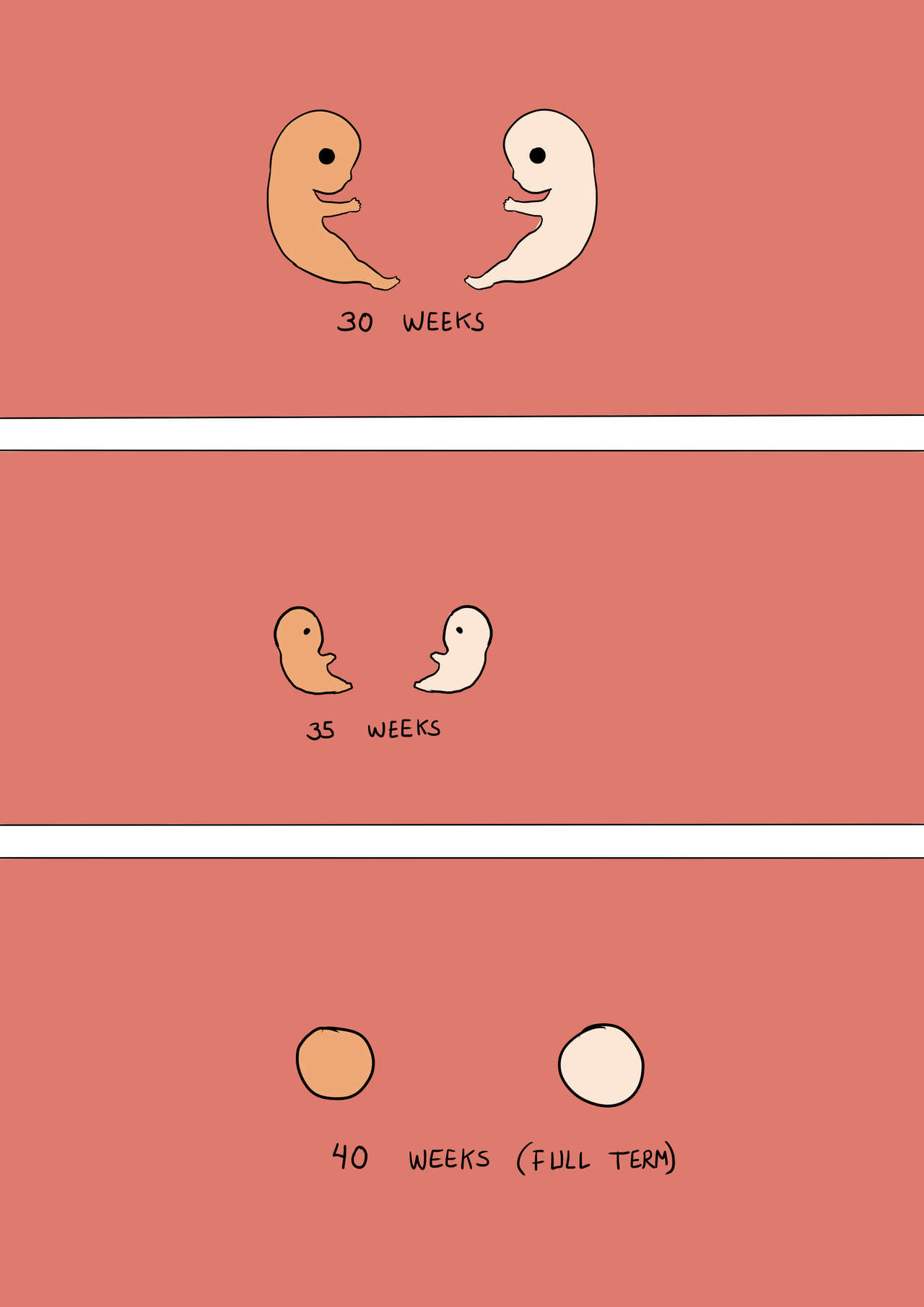 The Cycle Of Life image number 11