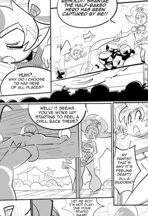 Shantae and Riskys Revenge