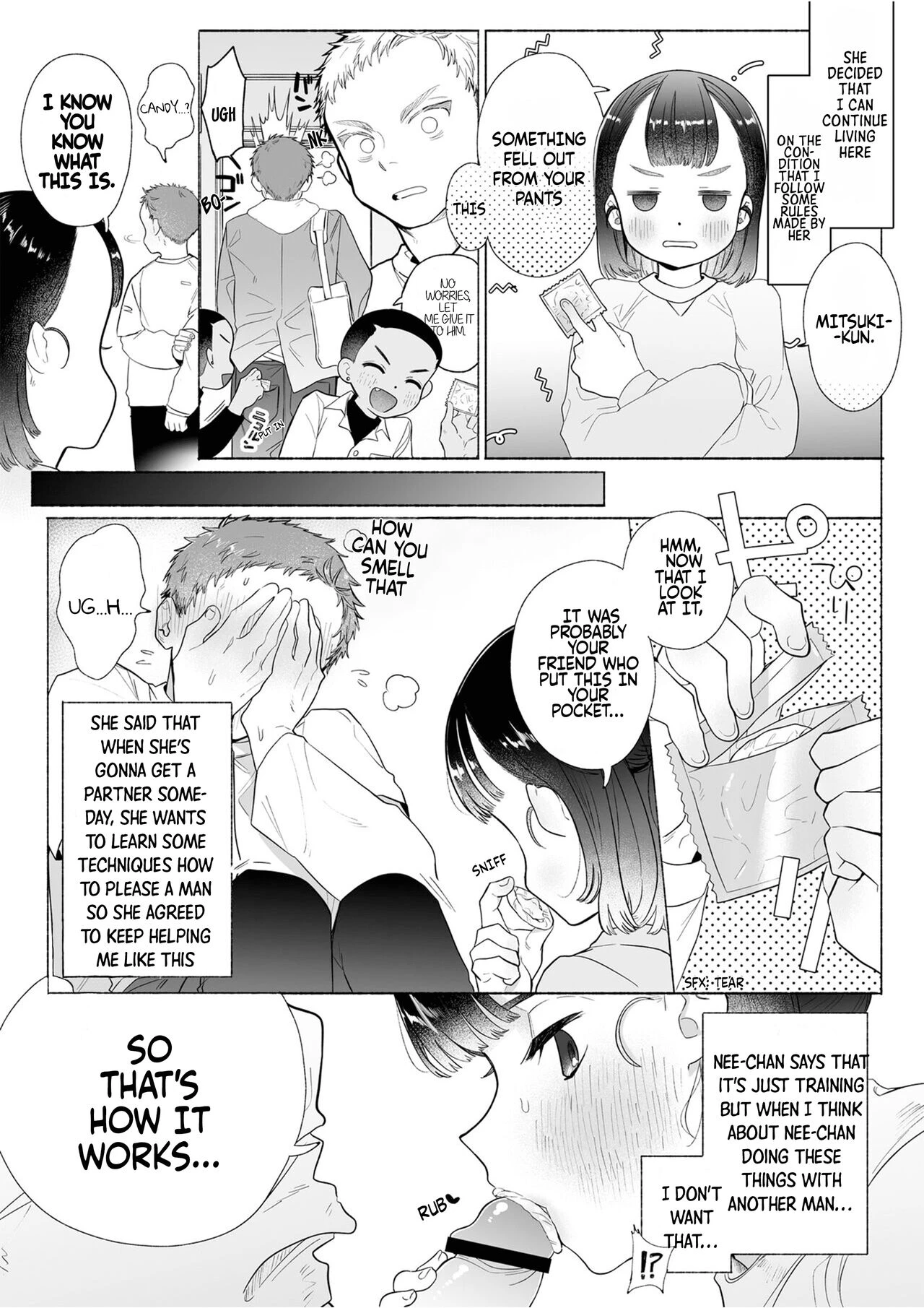 Ore wa Nee-chan de shika Nukenai image number 21