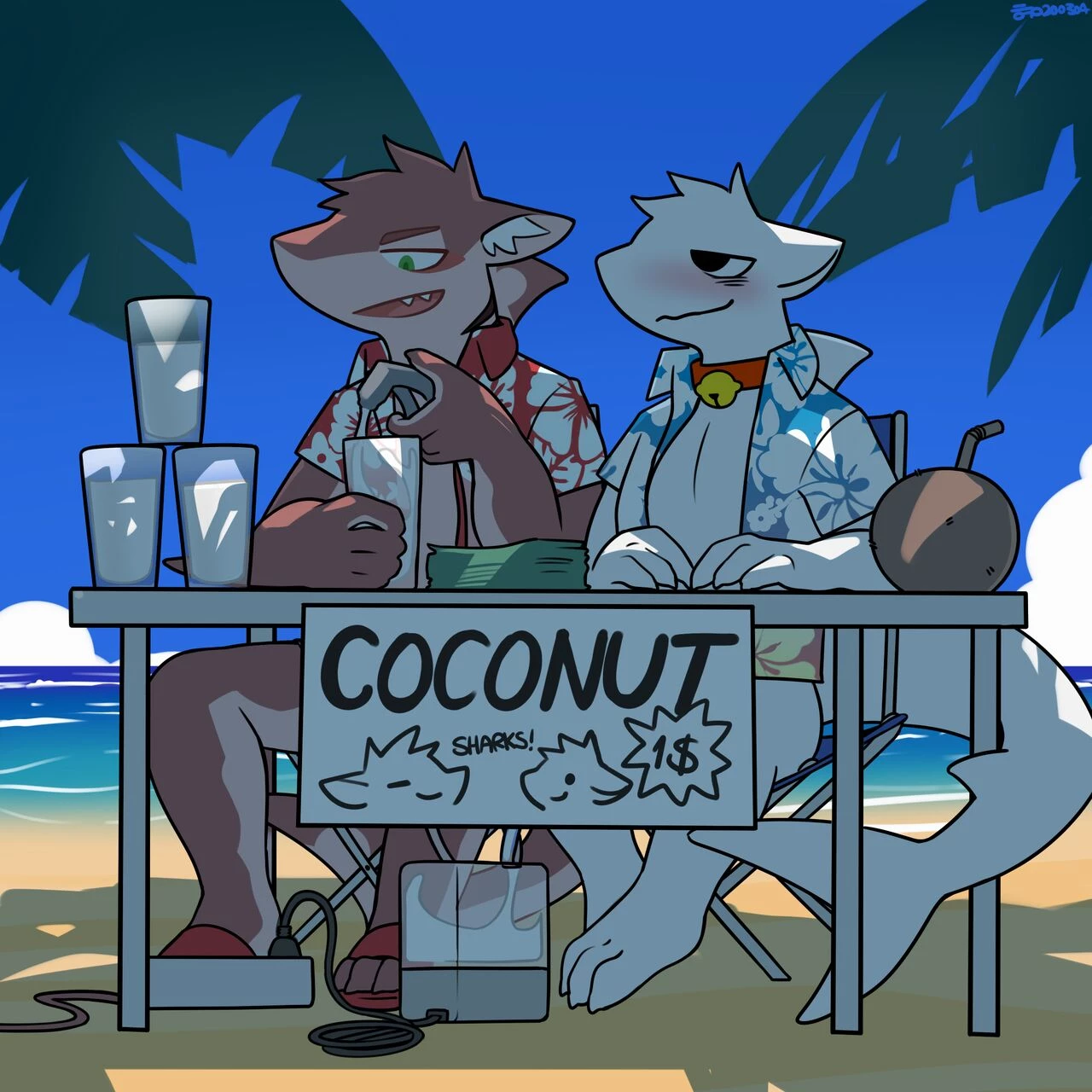 CocoShark image number 40