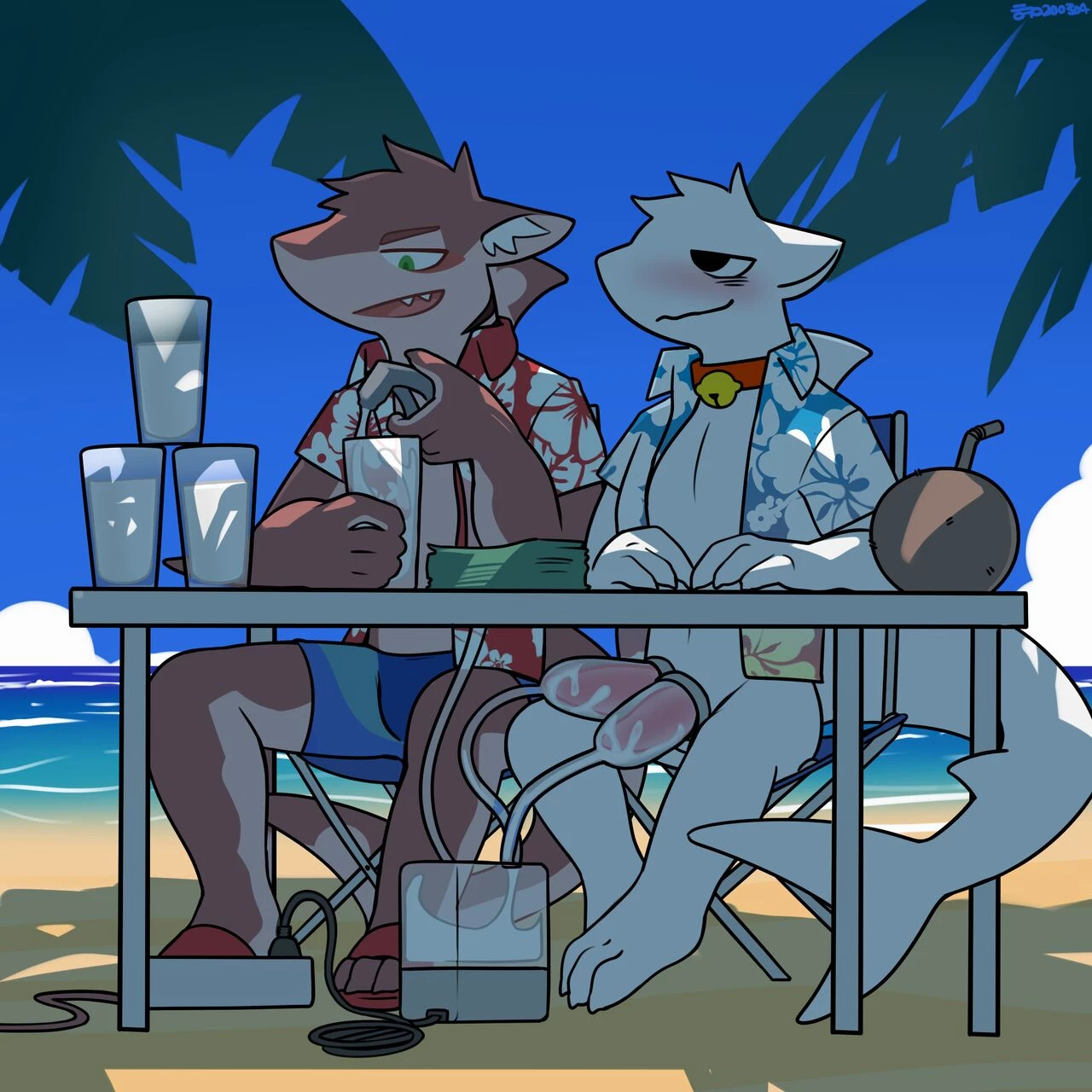 CocoShark image number 41