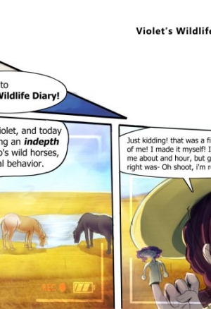 Violets Wildlife Diary (part 1)