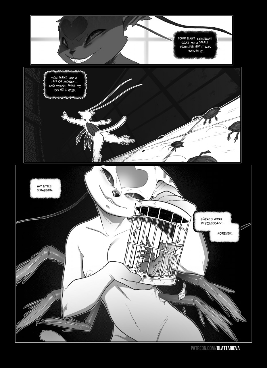 Songbird image number 6