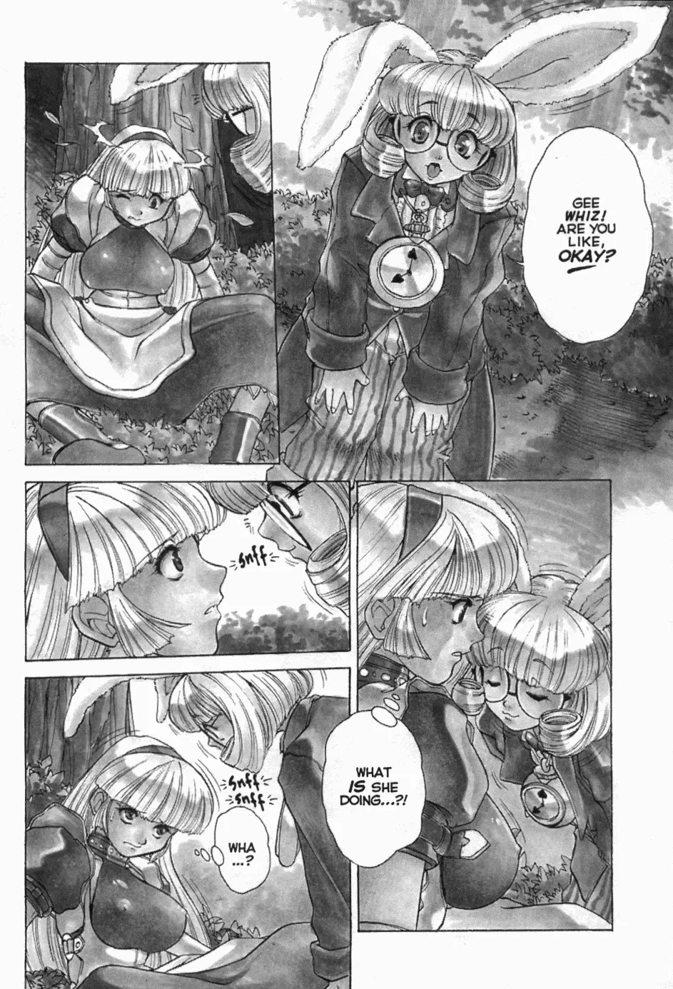 Alice in Sexland image number 6