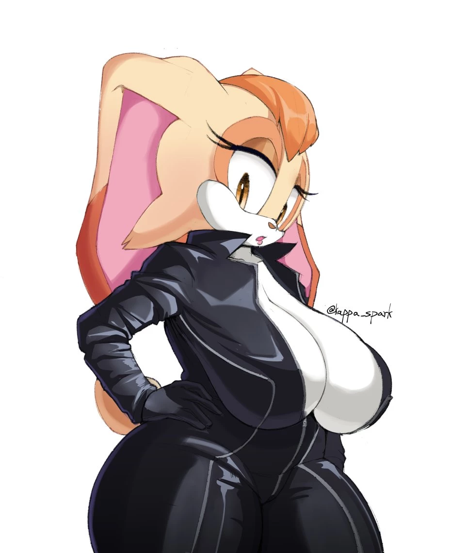 Kappa Sparks Sonic Compilation image number 27
