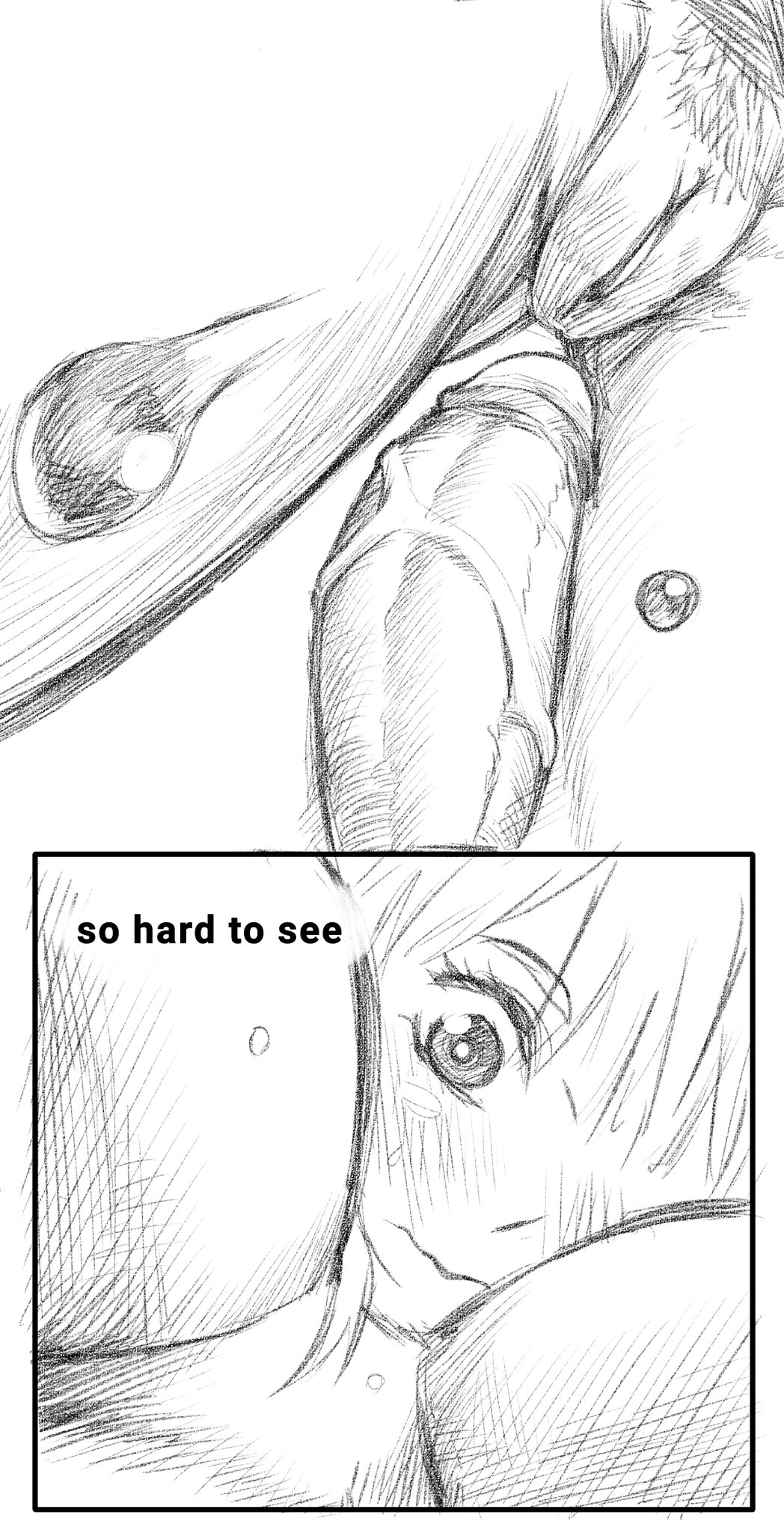 Clovers morning image number 21