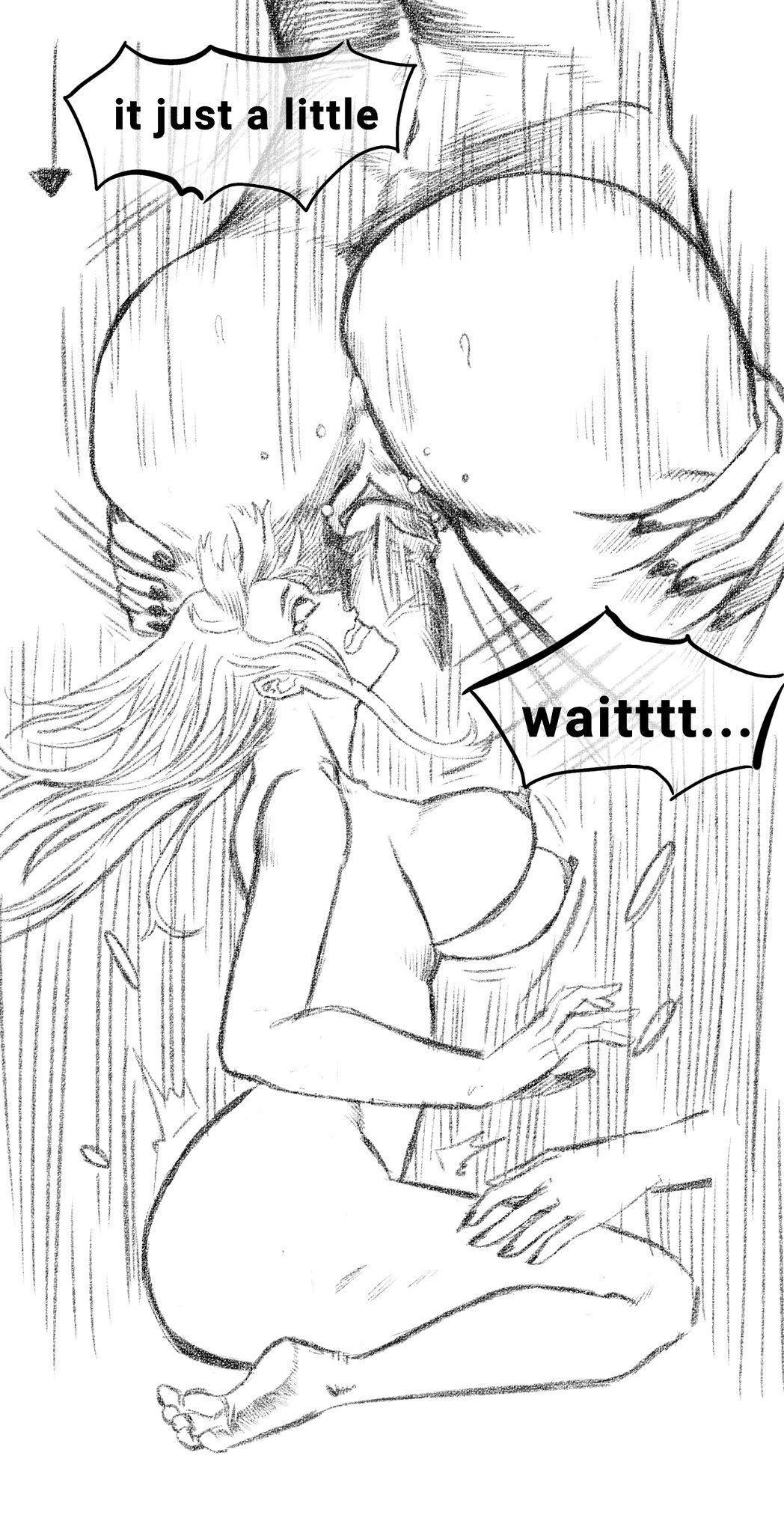 Clovers morning image number 24