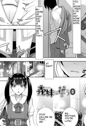 [Shinobu Tanei] Imouto ni Chikau Hi (ch8)[ibndgfan]