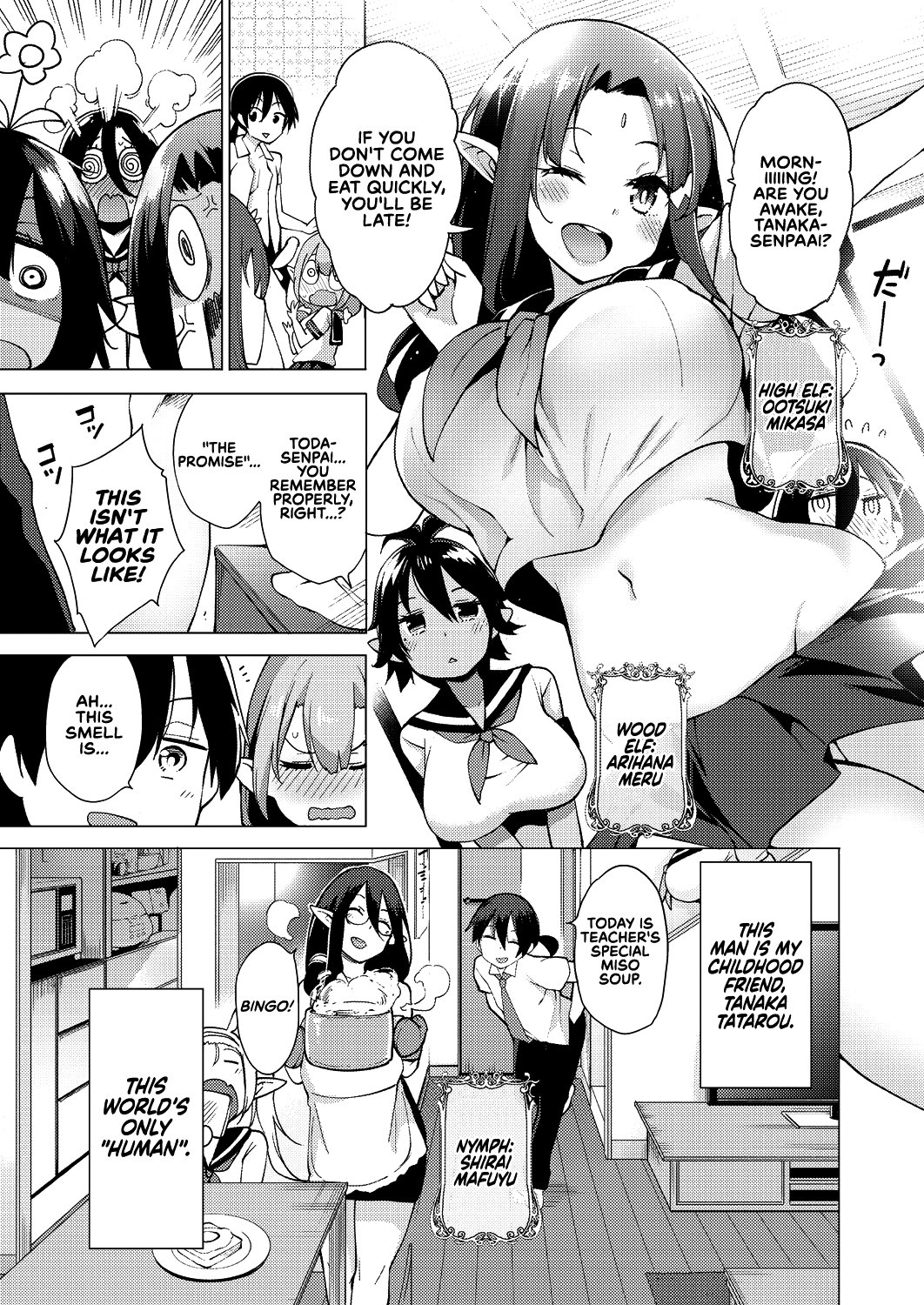 Yousei Harem Daibakuhatsu  Fairy Harem Explosion Ch. 1 image number 2