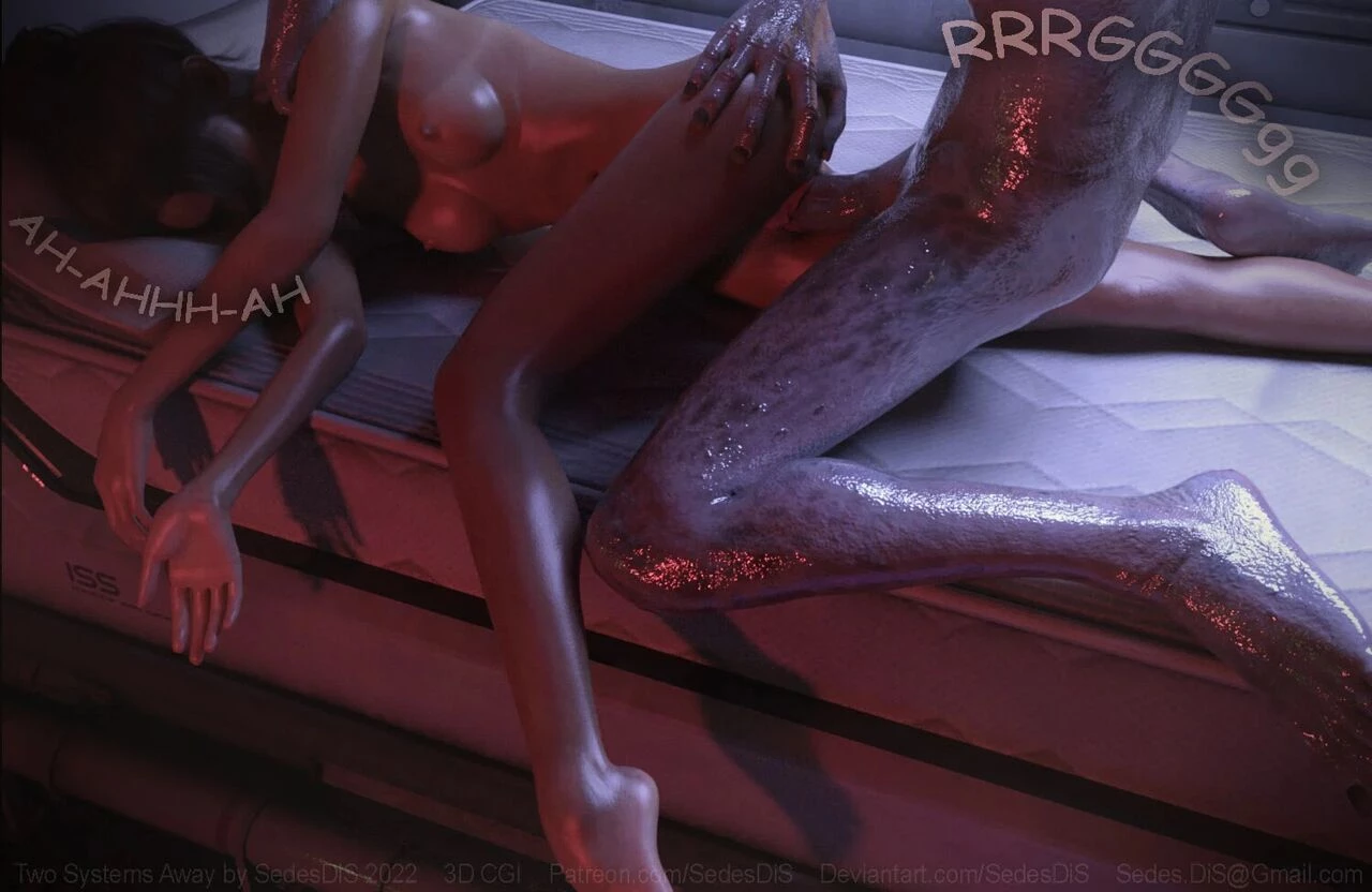 Dream Support Co  2 - Two Systems away image number 50