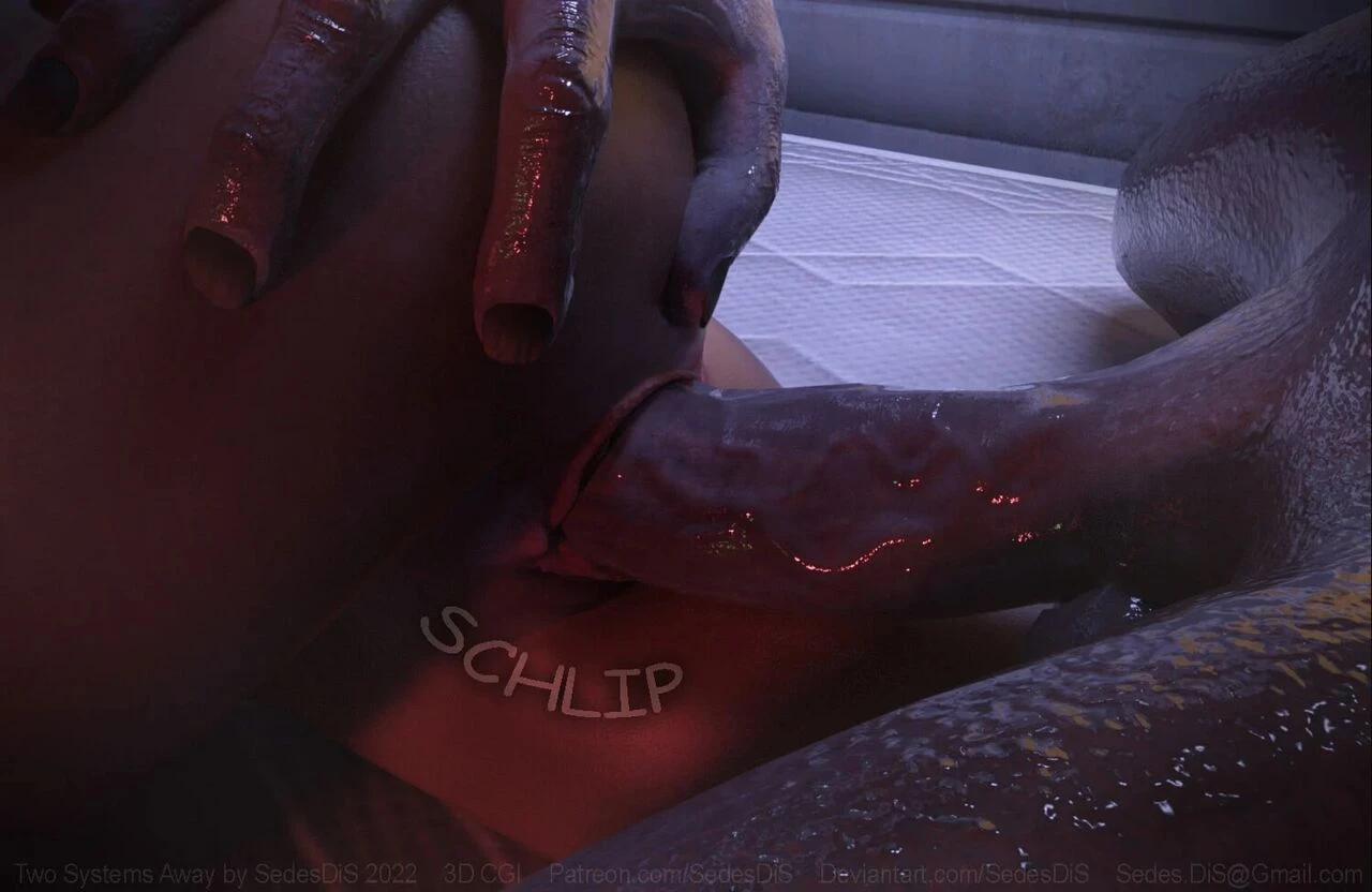 Dream Support Co  2 - Two Systems away image number 51