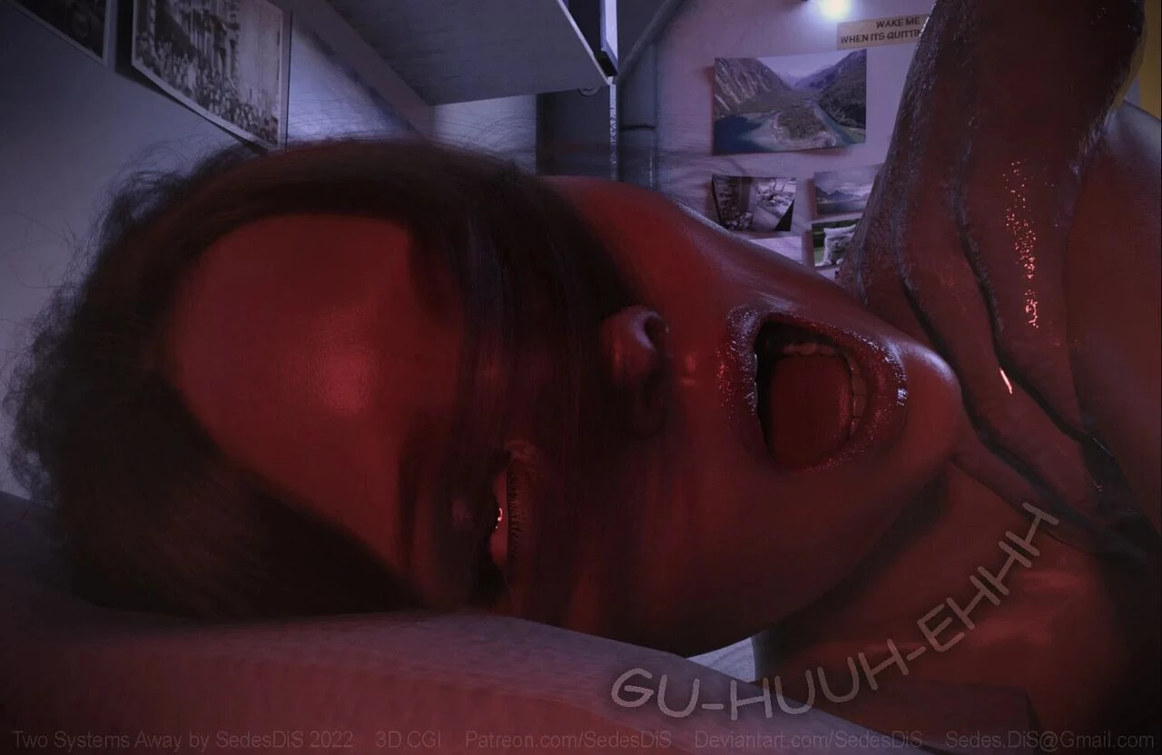 Dream Support Co  2 - Two Systems away image number 53