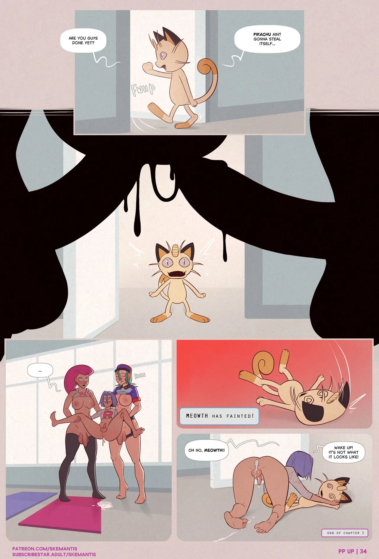 PP up image number 33