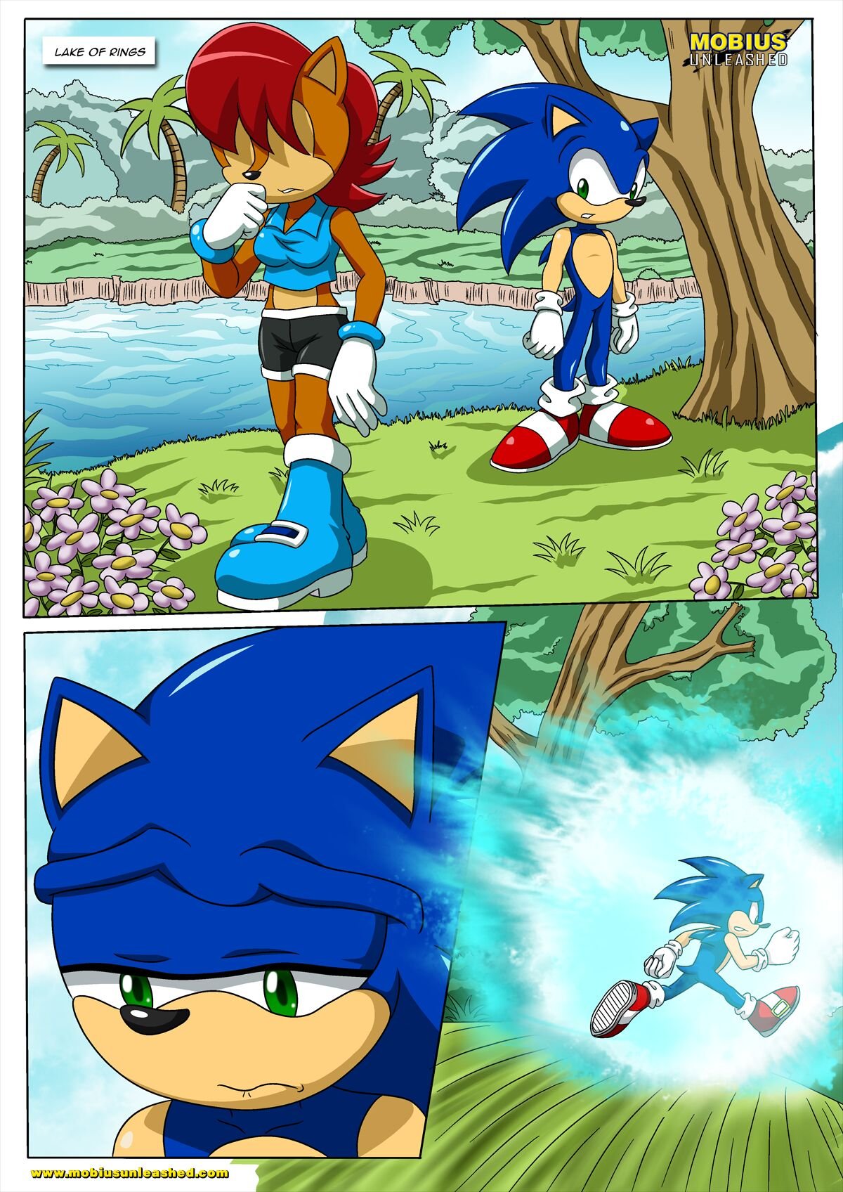 Palcomix - Sonic and Sally Break Up (Sonic the Hedgehog) image number 1