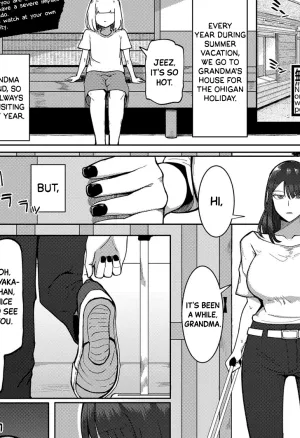 Fear! The Libido-Wrecking Older Girl  Kyoufu! Seiheki Hakai Onee-san