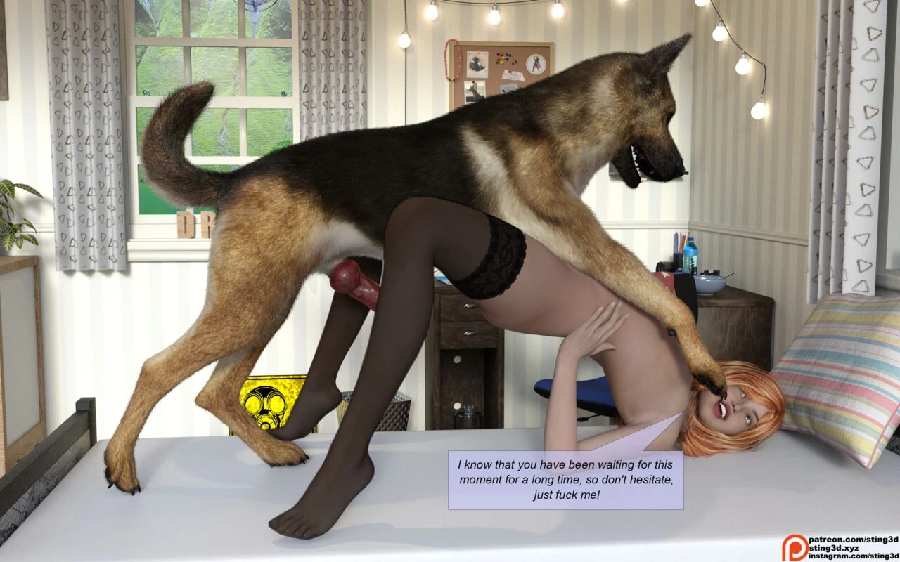 Paradise Story image number 17