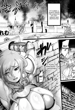 The Empires Meat Toilet ~The Fallen Knight and Princess~  ~Otosareta Hime to Onna Kishi~