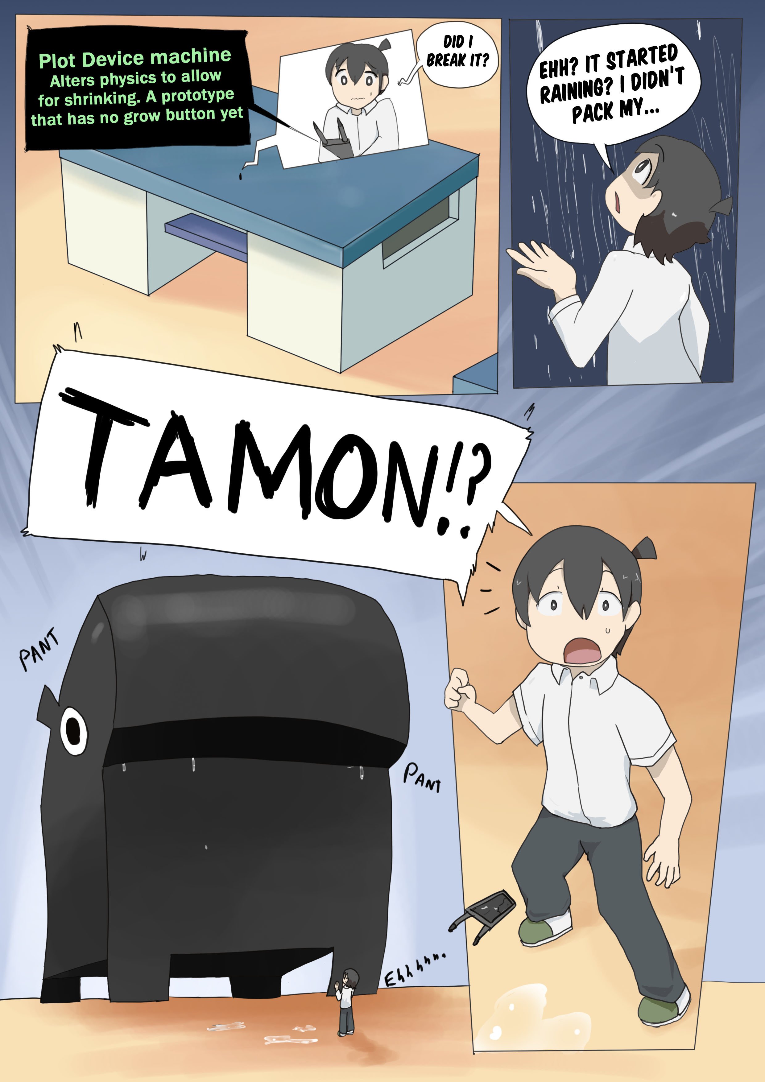 Tamons  life as socks