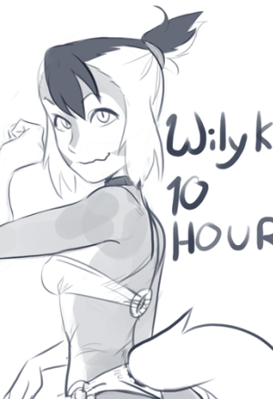 Wilykit 10 hr