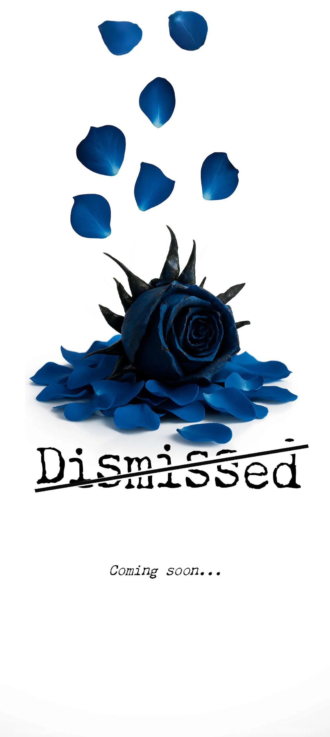 Dismissed image number 16