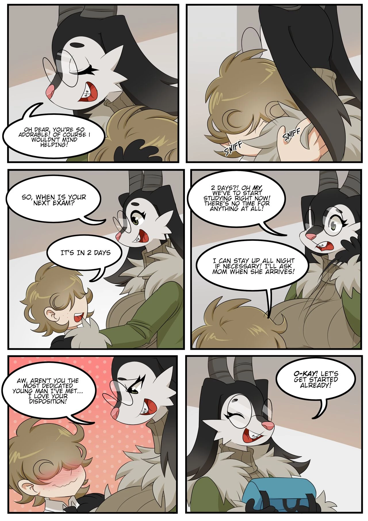 Sareis image number 10