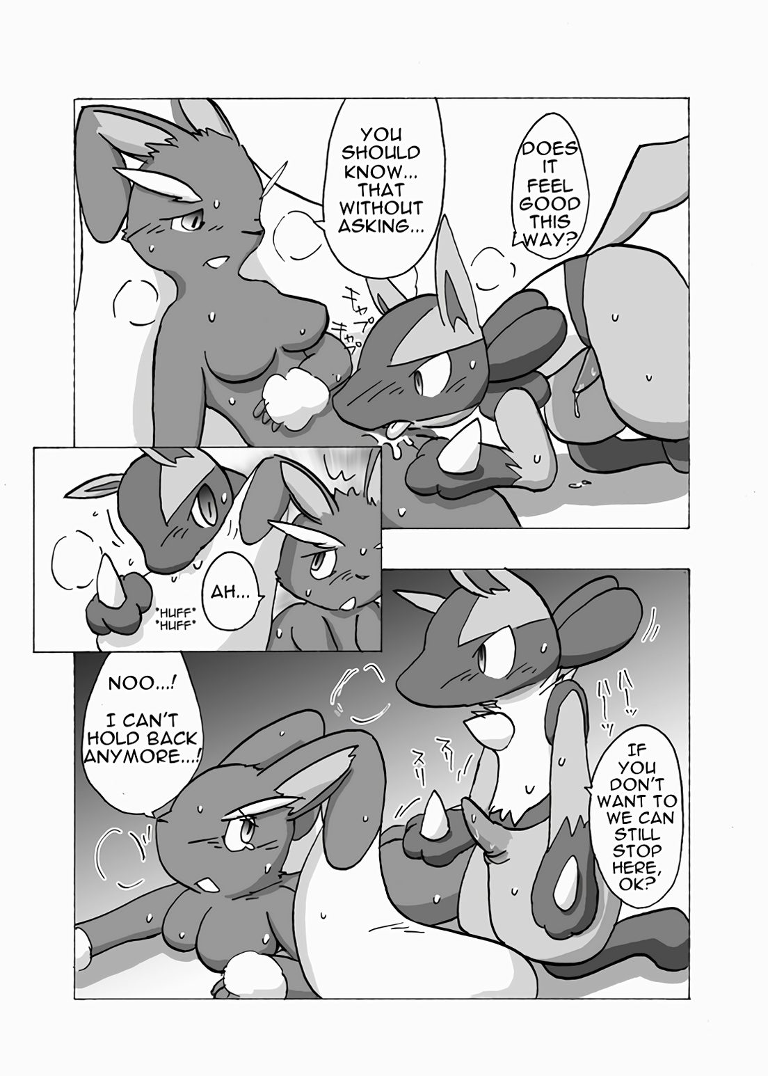 Lucario X Lopunny image number 10