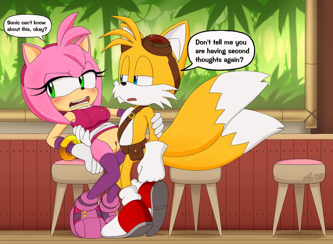 Amy and Tails image number 3