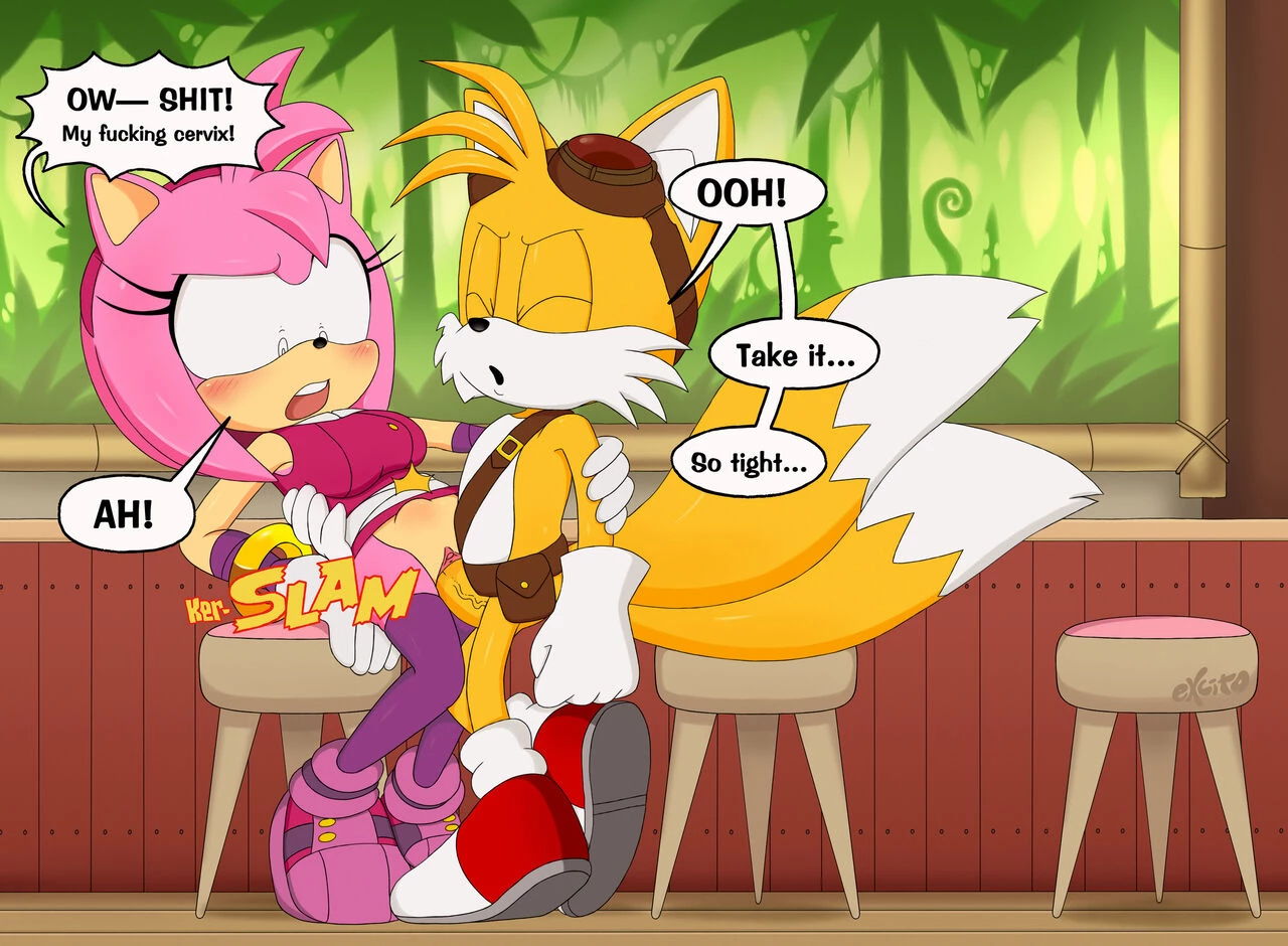 Amy and Tails image number 5