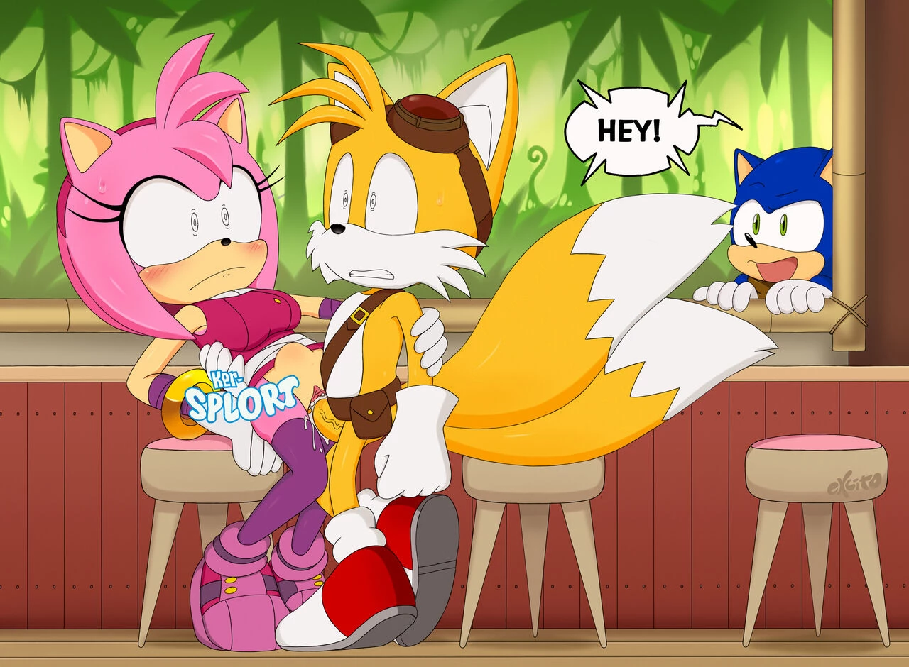 Amy and Tails image number 6