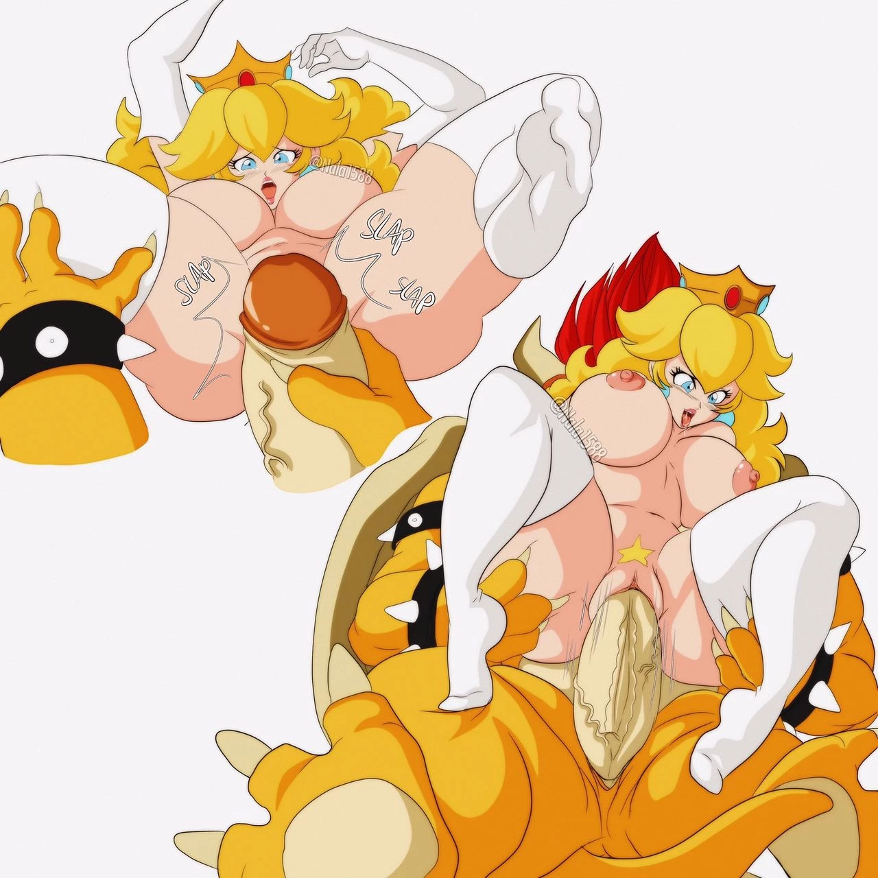 Princesss and Bowser Compilation image number 11