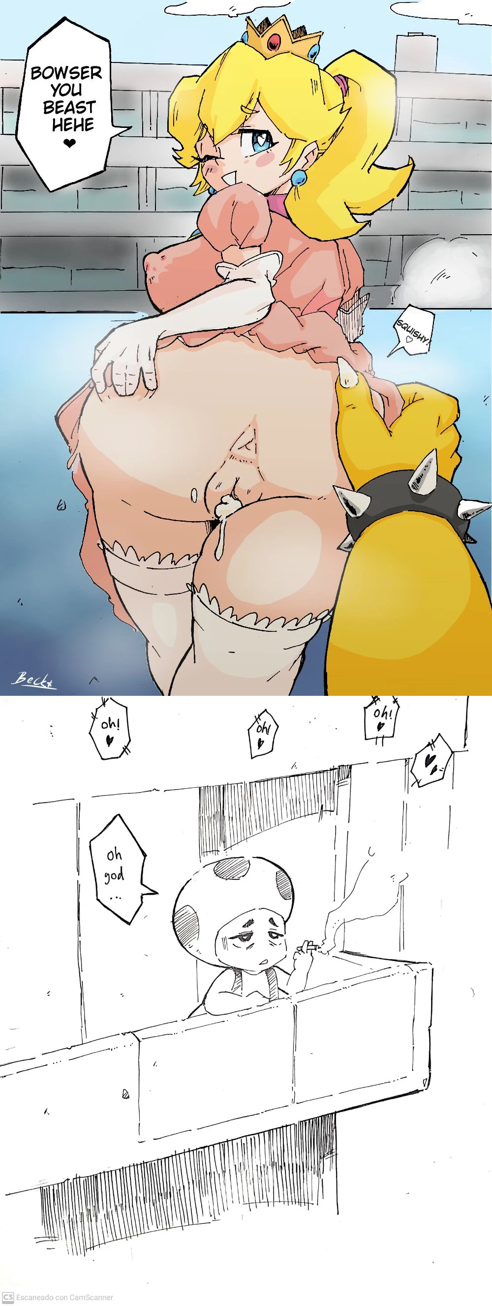 Princesss and Bowser Compilation image number 153