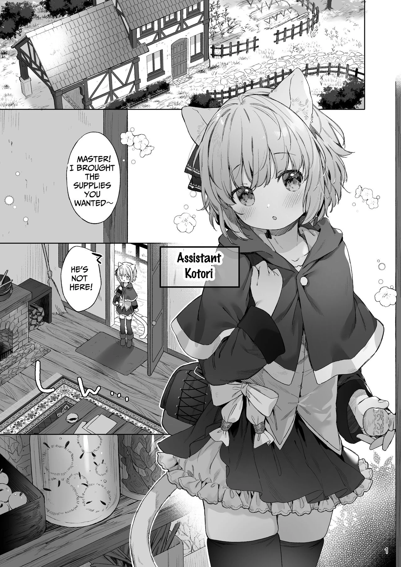 Other World Adult Store Isekai Otona no Omochaya-san image number 1